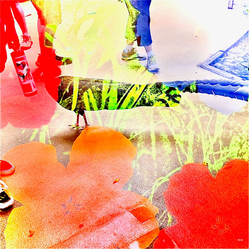 A bird and visitors’ feet layered with vivid orange and red shapes.