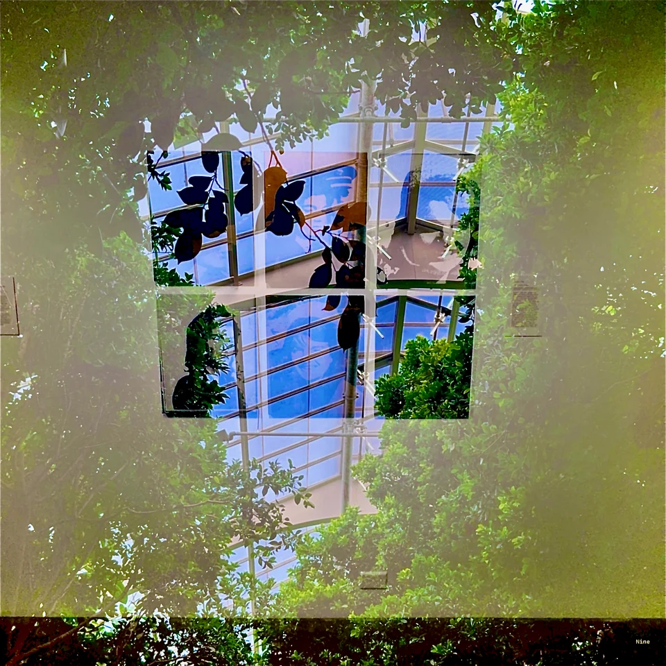 Leafy branches layered over a blue glass roof and pale geometric panels.