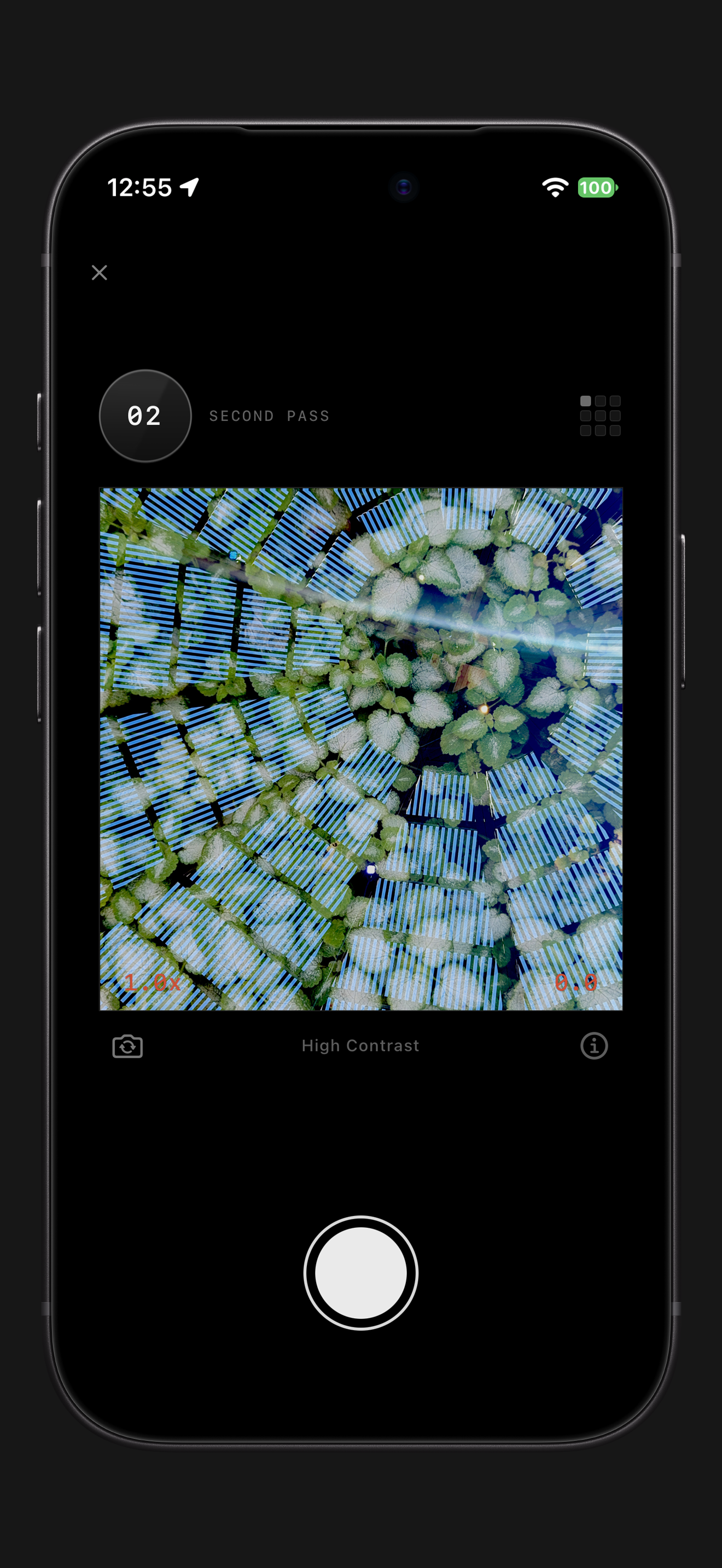 The second-pass viewfinder combines green leaves with the repeating blue lines of a building.