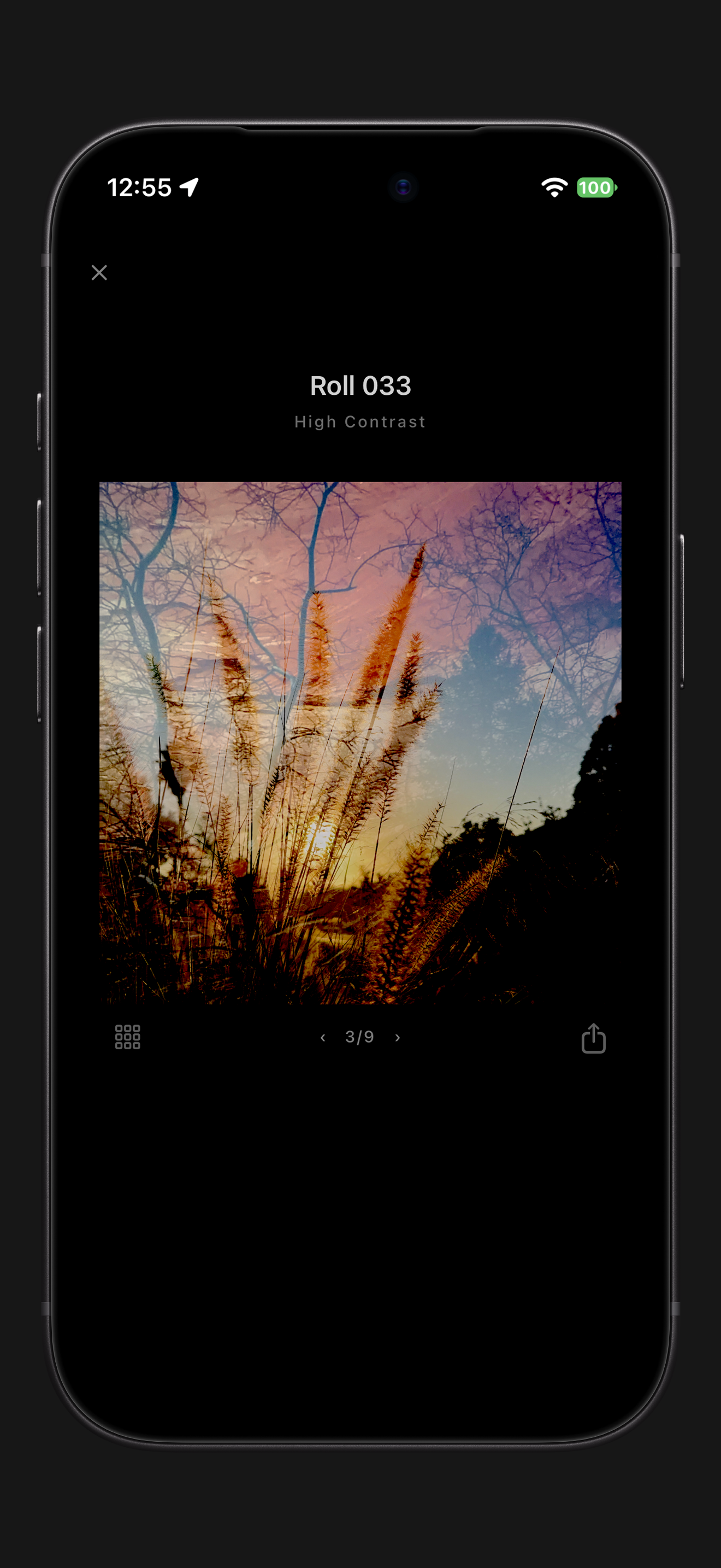 A finished double exposure of golden grasses and tree branches, shown in Nine.
